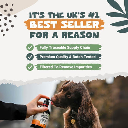 AGL Pets Pure Scottish Salmon Oil – Omega 3, 6 & 9 Supplement for Coat, Skin & Joint Health (500ml)