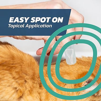 AGL Cat Flea Treatment Spot-On – Fast-Acting Flea Solution for Cats & Kittens (6 Pipettes)