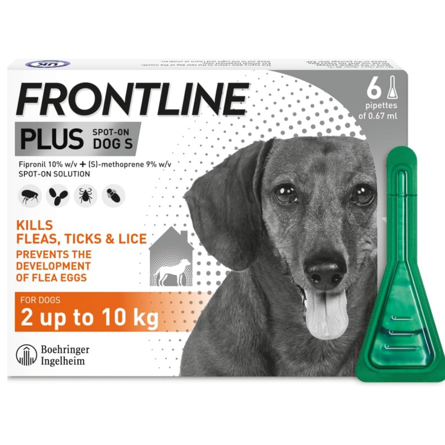 AGL FRONTLINE Plus Flea & Tick Treatment for Small Dogs (2-10 kg) - 6 Pipettes | Kills Fleas, Ticks & Prevents Reinfestation